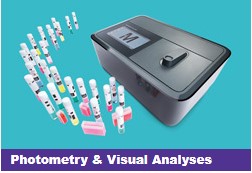 Photometry & Visual Analyses